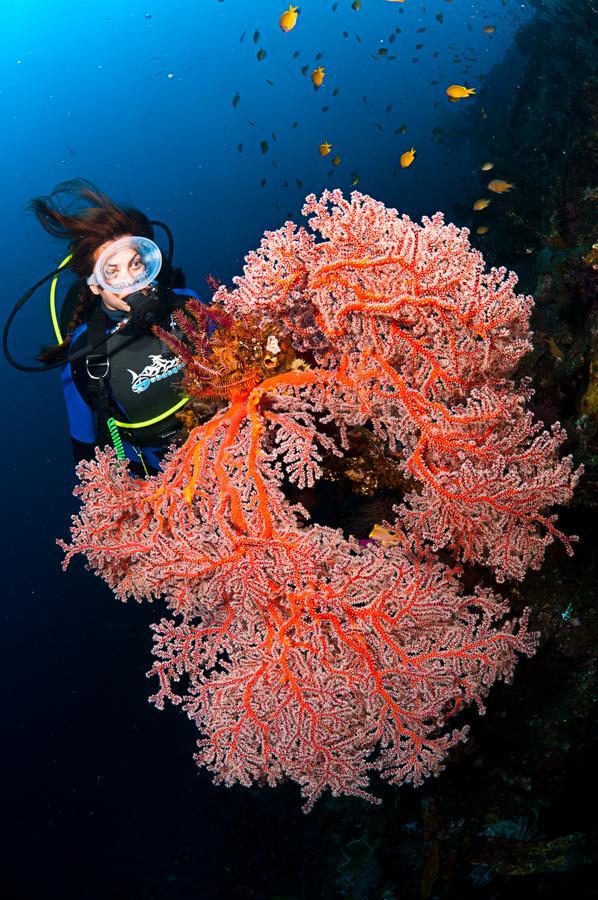 Benthos Bali Dive Resort Candidasa Eksteriør bilde